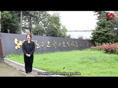 présentation de l'entreprise