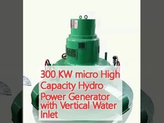 Générateur hydroélectrique micro haute capacité de 300 kW avec entrée d'eau verticale