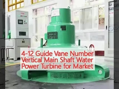 4-12 Numéro de vanne de guidage Arbre principal vertical Turbine hydroélectrique pour le marché