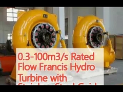0.3-100 m3/s Débit nominal Turbine hydraulique Francis avec vanne de guidage en acier inoxydable et débit d'entrée de 2 M3/s