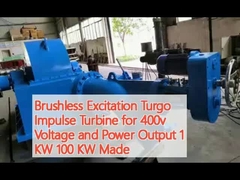 Turbine à impulsion Turgo sans balai d'excitation pour une tension et une puissance de sortie de 400v 1 KW 100 KW Fabriqué