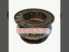 Système de turbine hydraulique en acier inoxydable pour les performances de tension du générateur de 6 à 20 KV