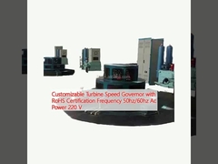 Régulateur de vitesse de turbine personnalisable avec fréquence de certification RoHS 50hz/60hz Puissance AC 220 V