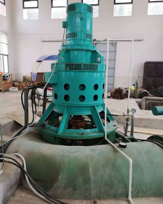 Générateur de turbine hydraulique d'excitation de générateur sans brosse de Kaplan