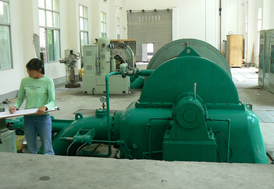 diamètre vertical de coureur du générateur de turbine de l'eau de 500kw Pelton 0.6m