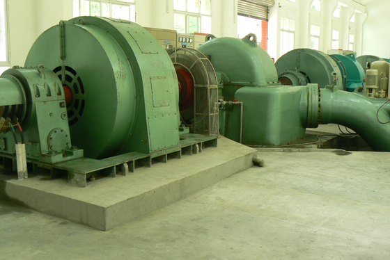 diamètre vertical de coureur du générateur de turbine de l'eau de 500kw Pelton 0.6m