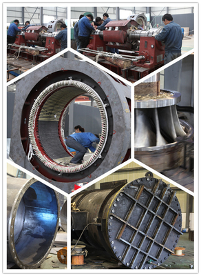 Turbine hydraulique principale 550kw 0.4m3/S de l'acier inoxydable 180m Pelton