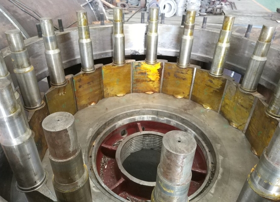 Lame réglable de coureur de turbine hydraulique horizontale verticale de Kaplan sans brosse