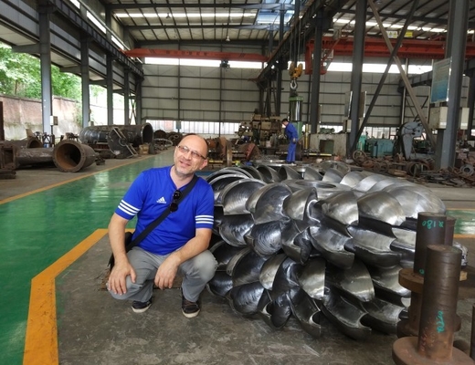 Petit horizontal vertical du coureur 800KW de roue de Pelton de turbine d'écoulement