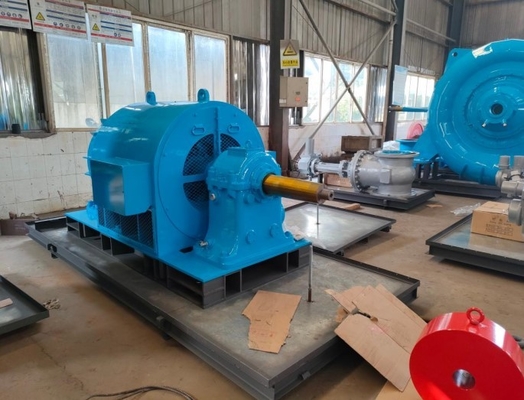 acier forgé horizontal de 300kw Mini Hydroelectric Generator 400v