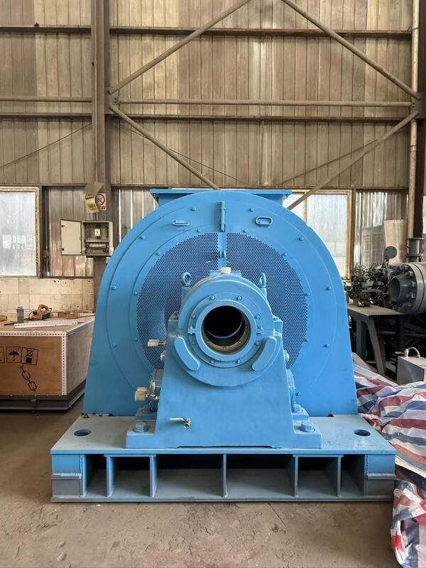 Turbine Francis hydraulique certifiée ISO en acier inoxydable renouvelable pour la production d'hydroélectricité personnalisable