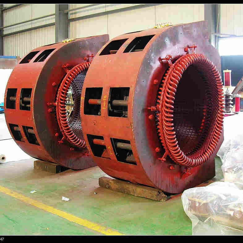 turbine hydraulique verticale 50hz de 300kw Kaplan sur le cerceau outre de la charge d'eau du cerceau 60Hz 15m